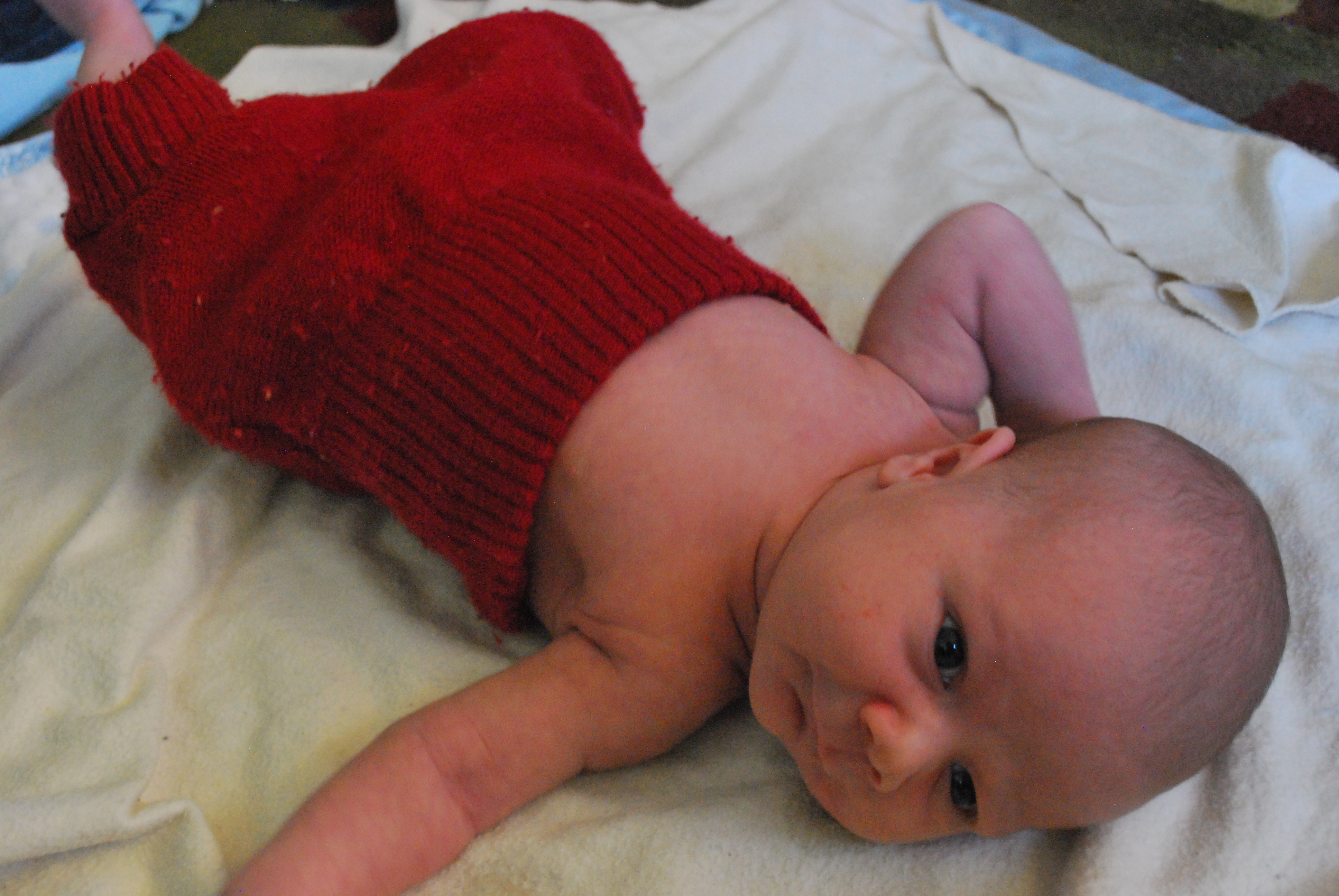 newborn wool diaper cover